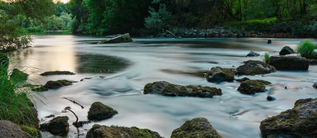 Fließender Fluss mit Steinen und von der Natur umgeben